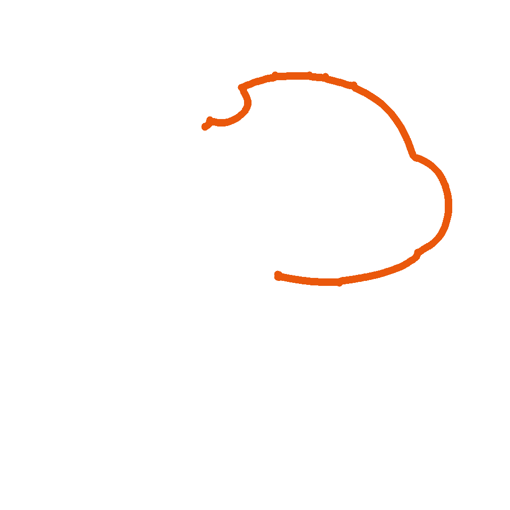 Baby Dragon, step 1