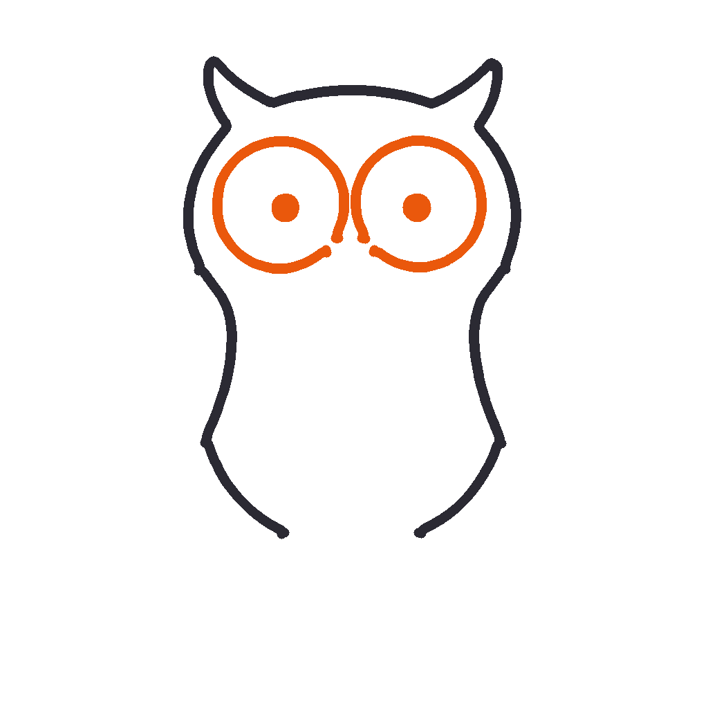 Wise Owl, step 2