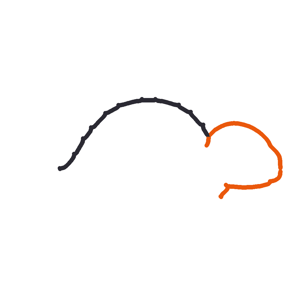 Stegosaurus, step 2