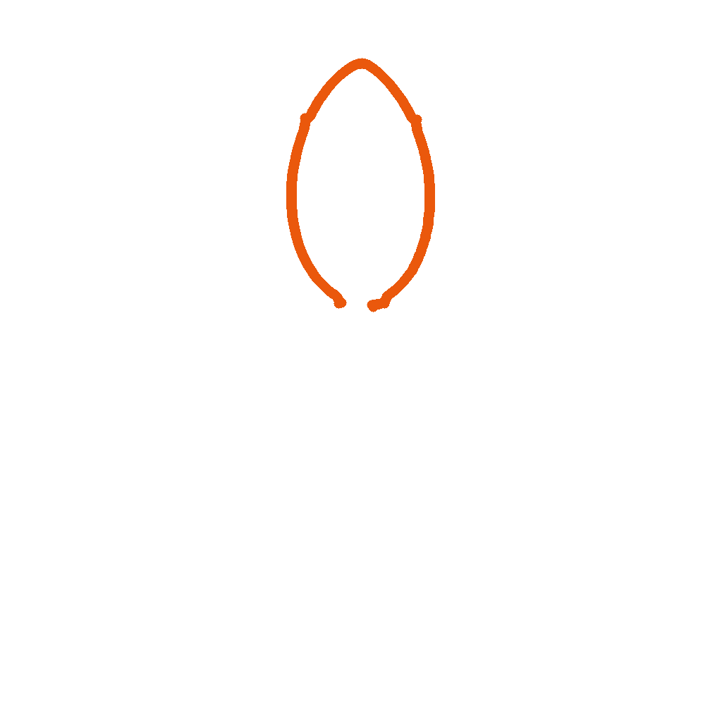 Tulip, step 1