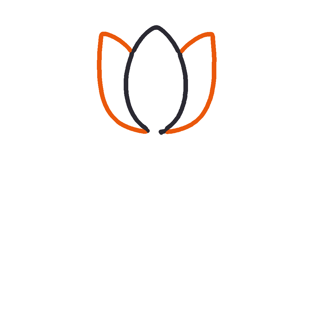 Tulip, step 2