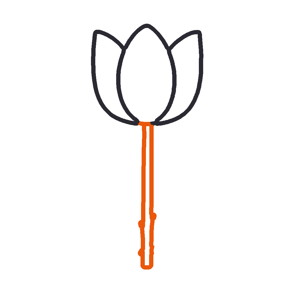 Tulip, step 3