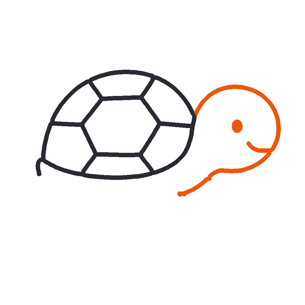 Little Turtle, step 3
